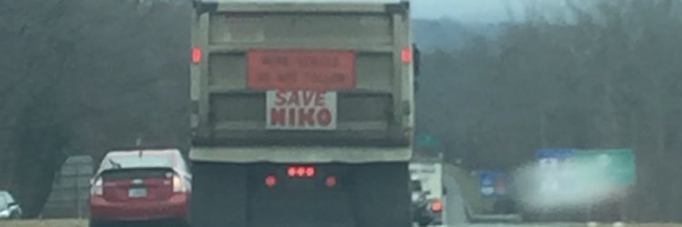 KellyNiko's profile banner image
