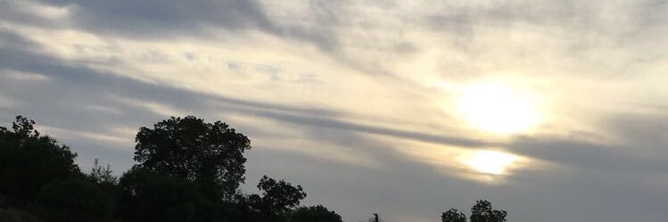 abbbs 🌺 banner