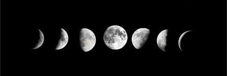 LuCalabrese12's profile banner image