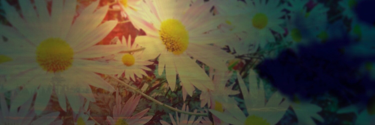wearepalehands's profile banner image