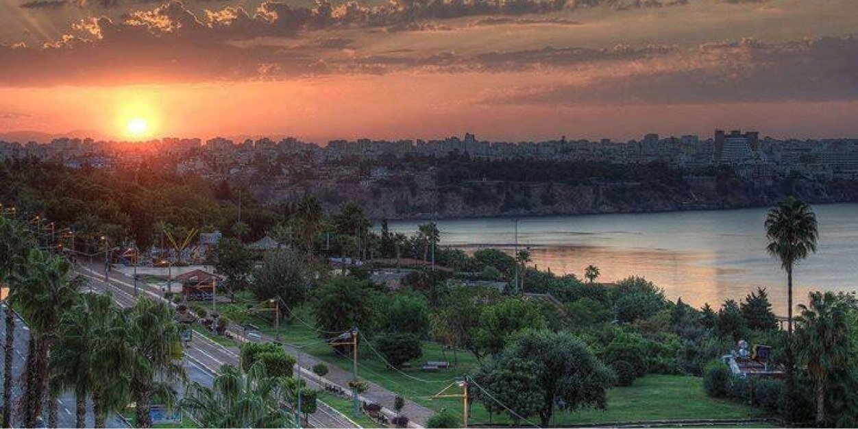 tahasevim's profile banner image