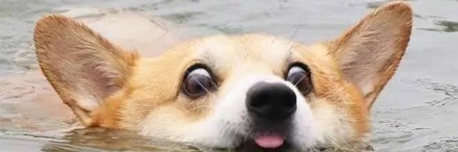 Ana_B_R_A's profile banner image