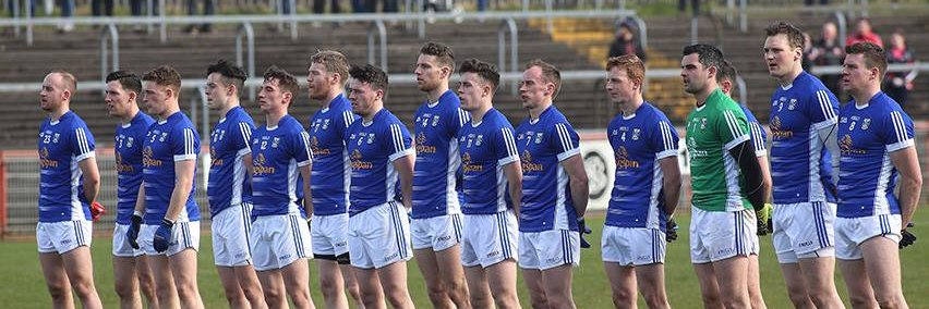 Hoganstand Cavan banner
