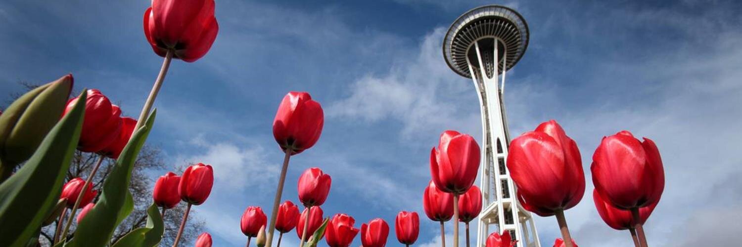 BingElizabethP's profile banner image
