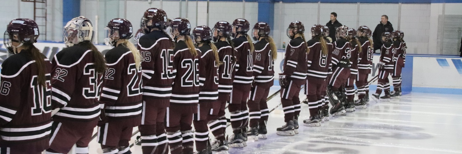 Ravens Women's Hockey banner