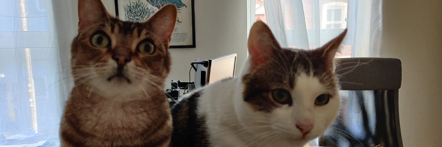 Dr Viviane Gravey banner