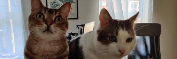 VGravey Profile Banner