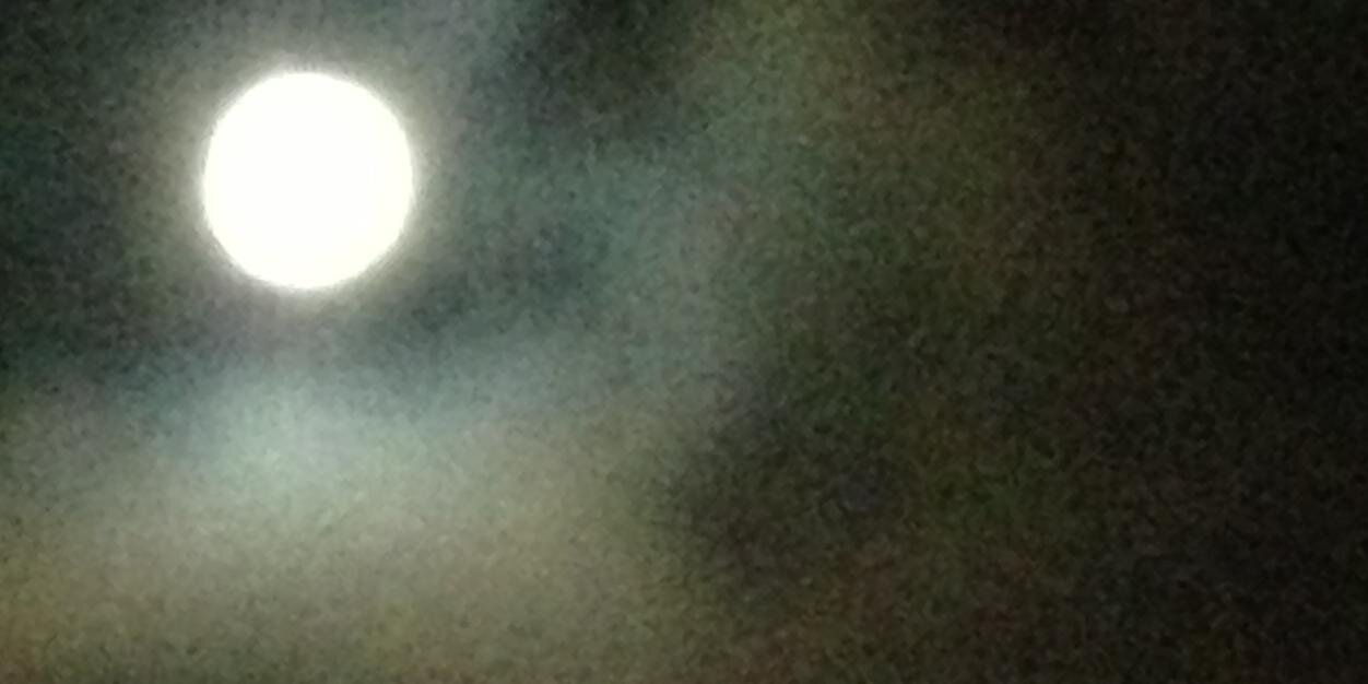 Furry Off Yourself banner
