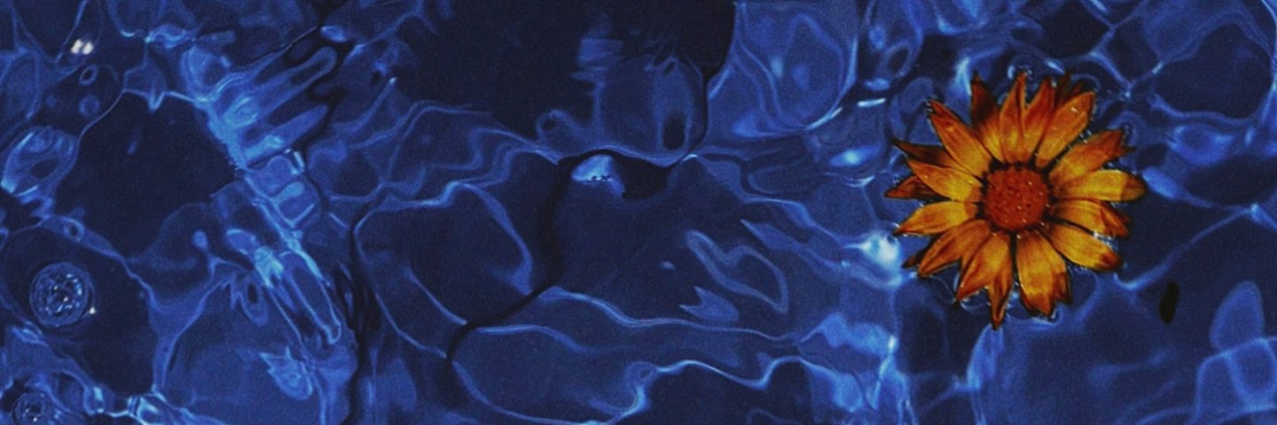 Vicky_01xin's profile banner image