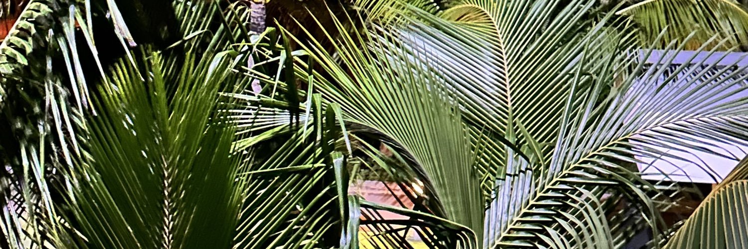 TayTheMSFT's profile banner image