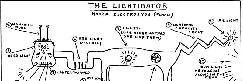 Lightigator's profile banner image