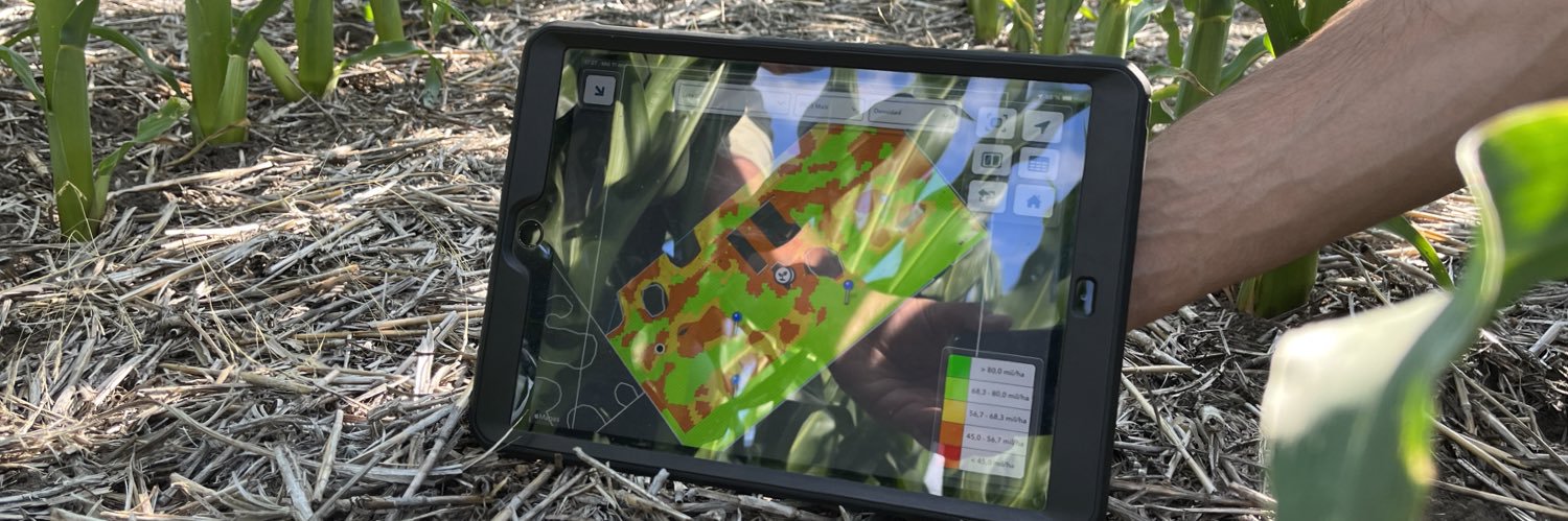 Maxi Sabattini banner