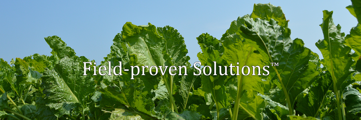 Amity Technology banner