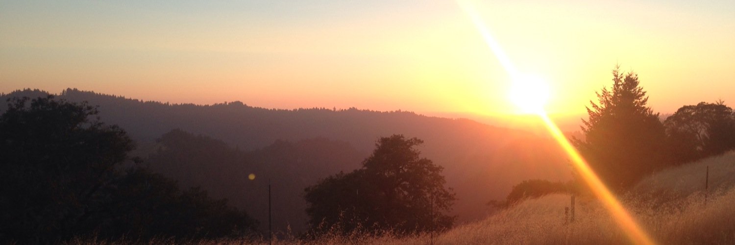 Alex McCauley banner