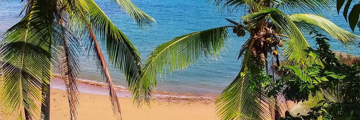BBHotelPanama's profile banner image