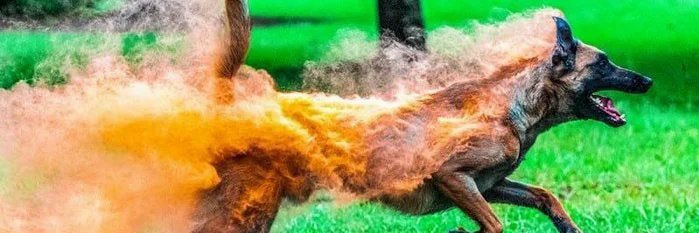 odaamilare's profile banner image