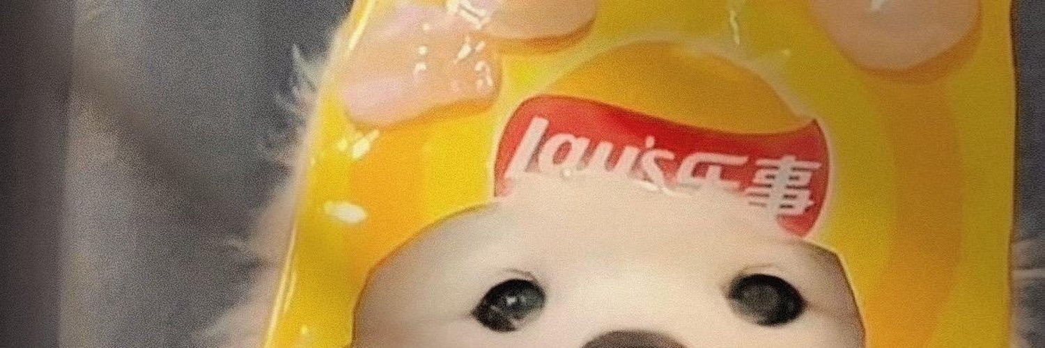justsoso banner