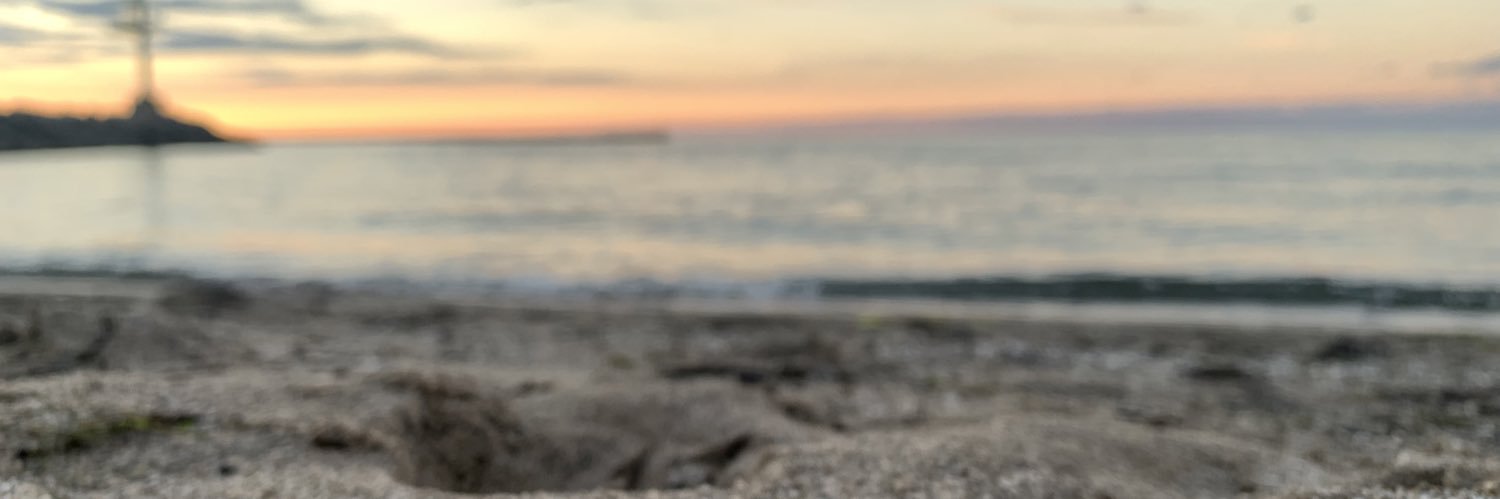 laney_reyes's profile banner image