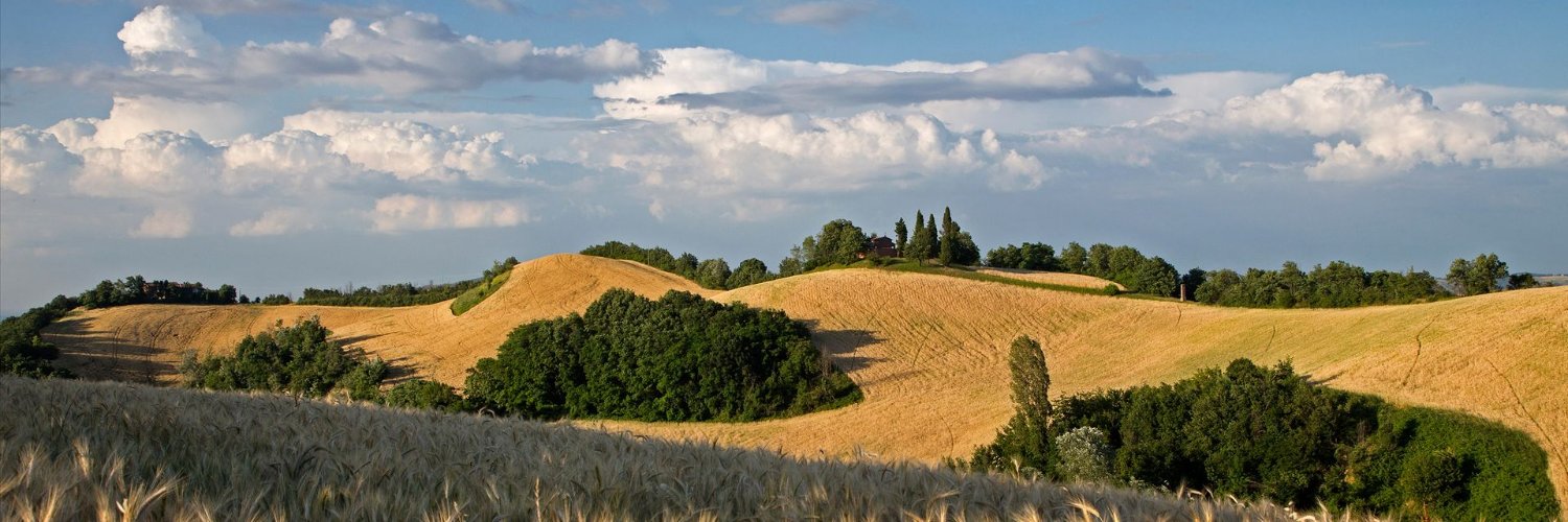 LuCasaRini's profile banner image