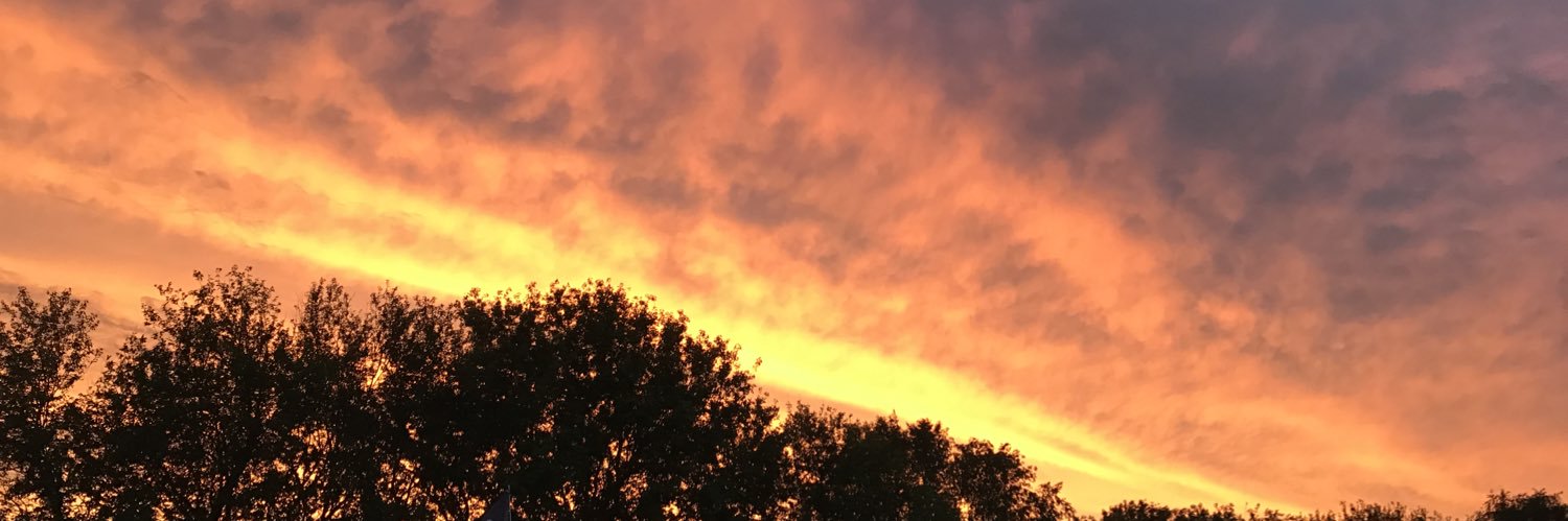 spaceysie's profile banner image