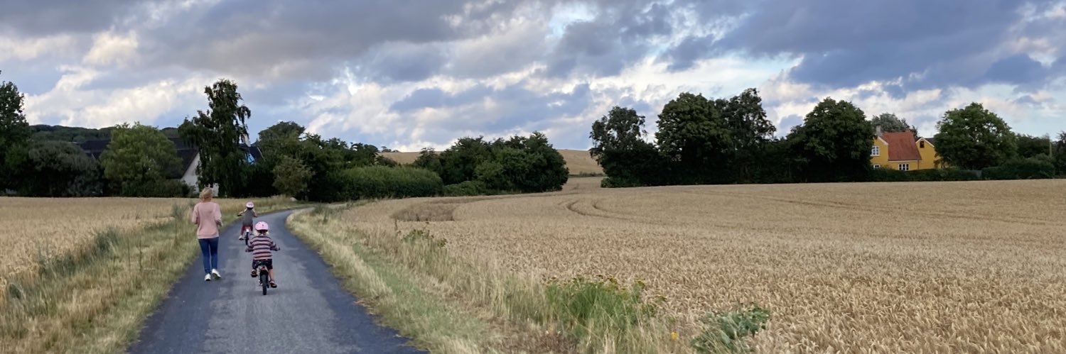 Peter Utzon Berg banner