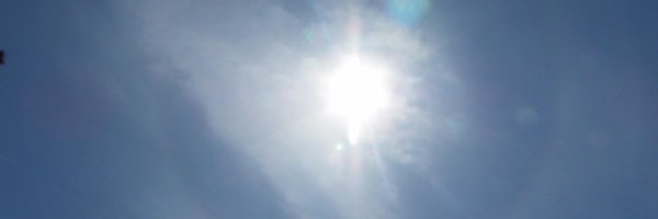 swede1pro Profile Banner