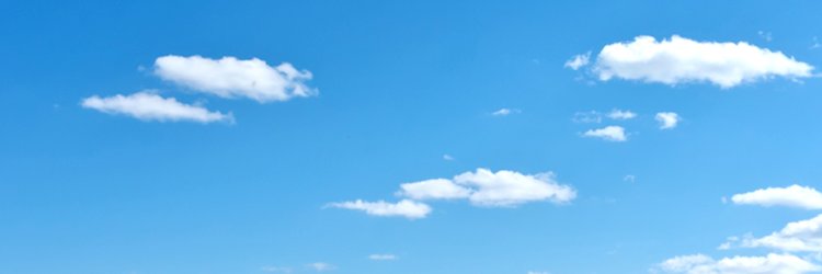 BatemanBethany's profile banner image