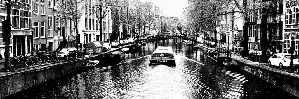 mfcryptophorus's profile banner image