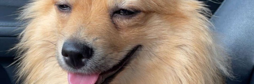 sunsunjackson's profile banner image