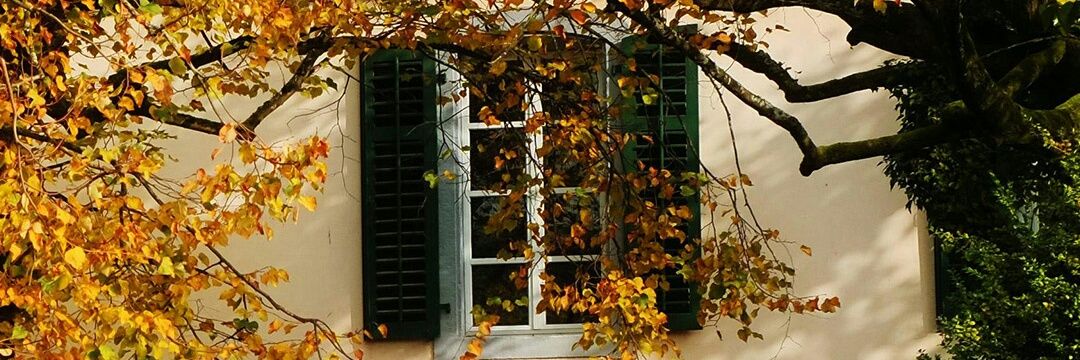 teagreen1512's profile banner image