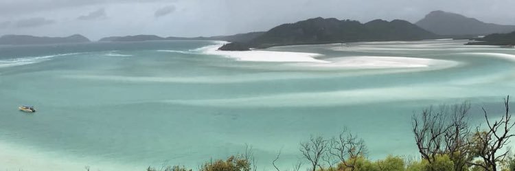 Heather Sweeney banner