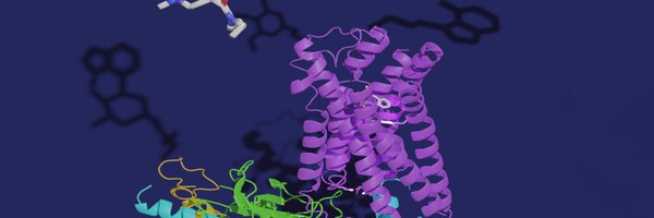zenbrainest Profile Banner
