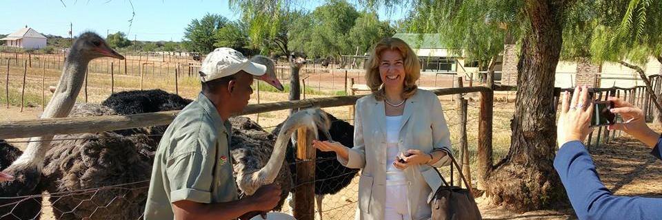 HighgateOstrich's profile banner image