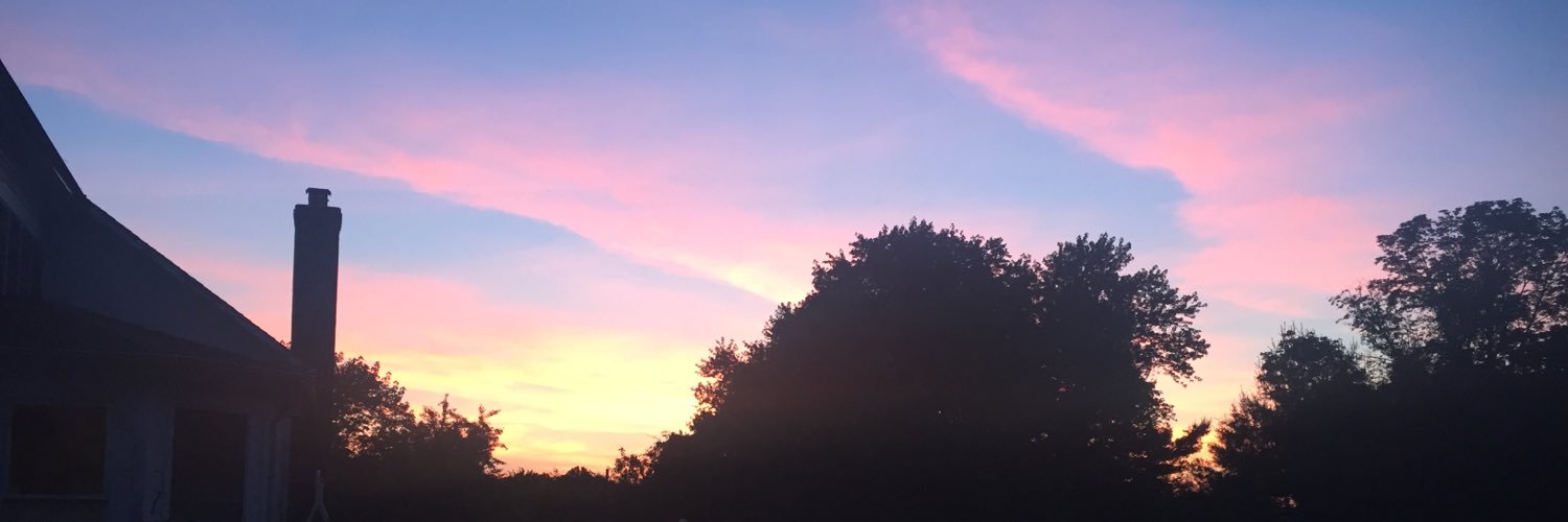 noodlemae's profile banner image