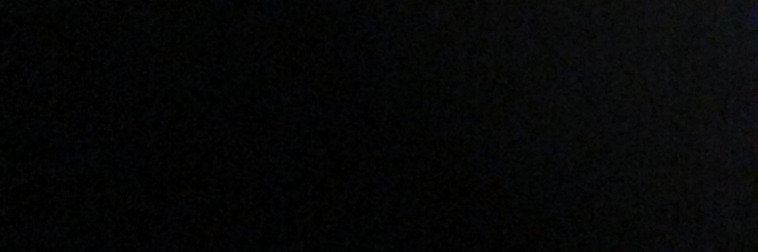 Mike Lee banner