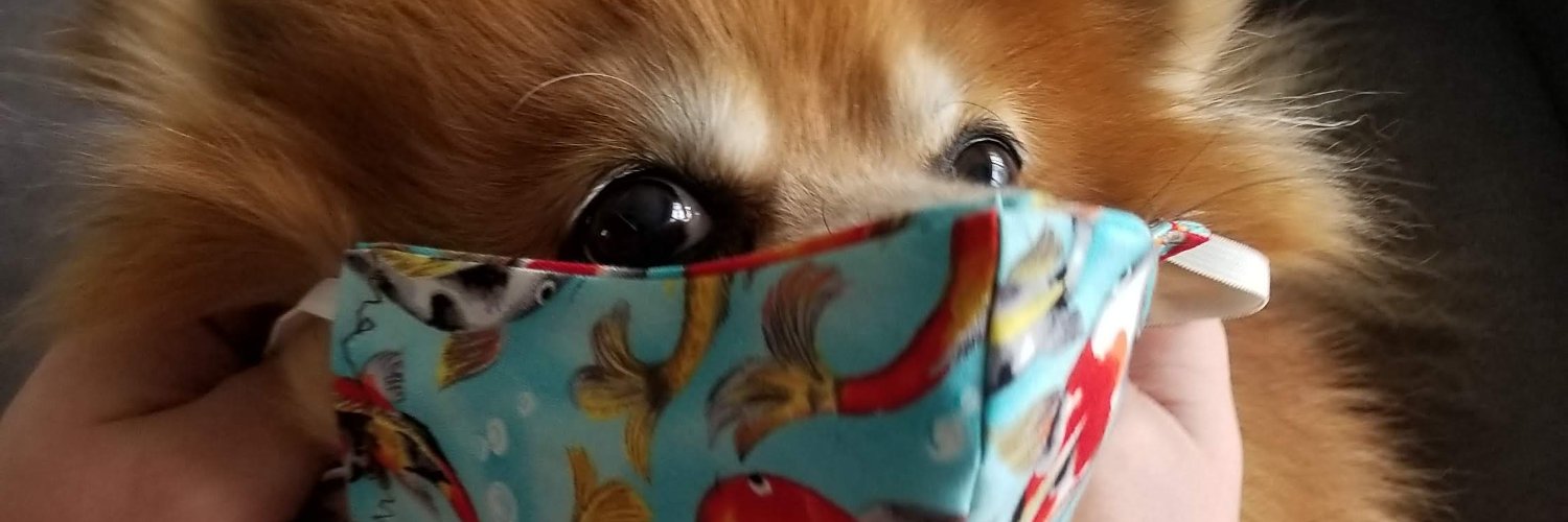 JBAmduscas's profile banner image