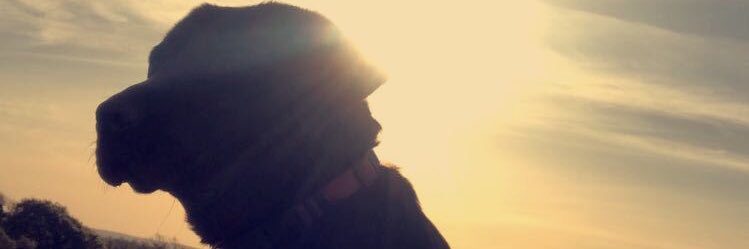 EmmaBr1's profile banner image