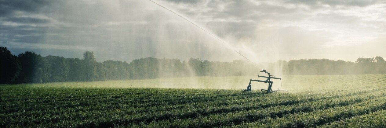 bartlettandsons's profile banner image