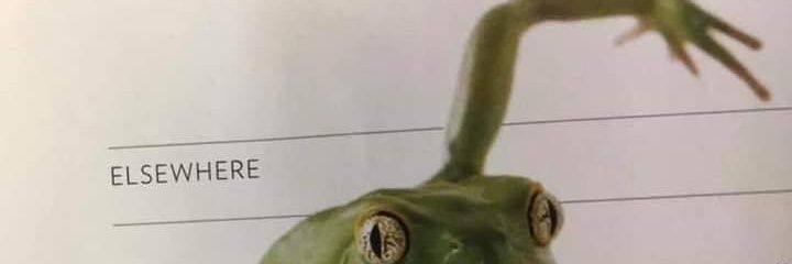 James__Curley's profile banner image