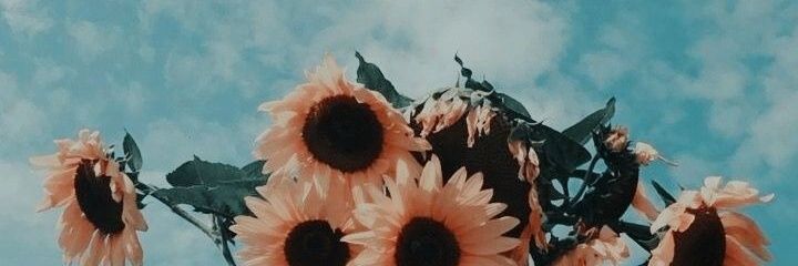 MeMerrycat1's profile banner image