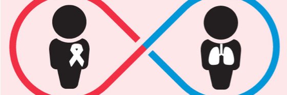 leliachaisson's profile banner image