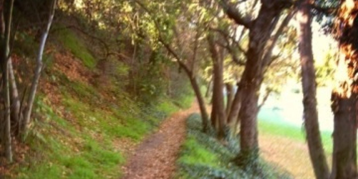 hlprunning's profile banner image