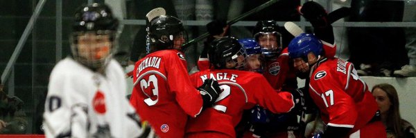 HoCoTimesSports Profile Banner