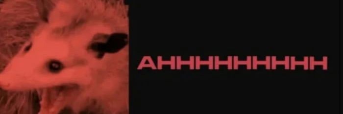reimraym's profile banner image