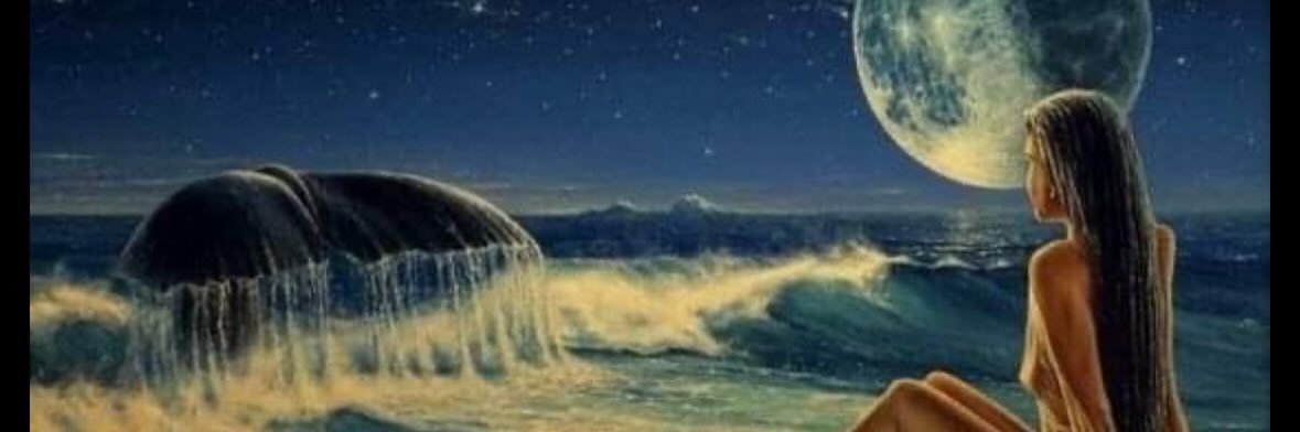 lizzycx_'s profile banner image