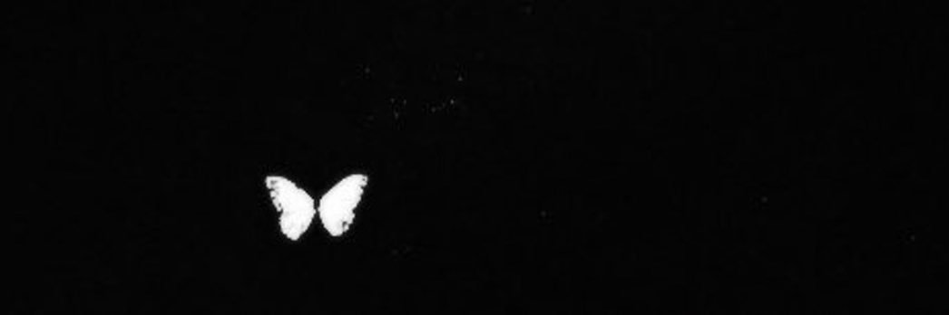 __emmmaa___'s profile banner image