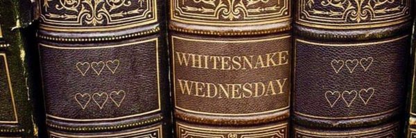 whitesnake1005 Profile Banner