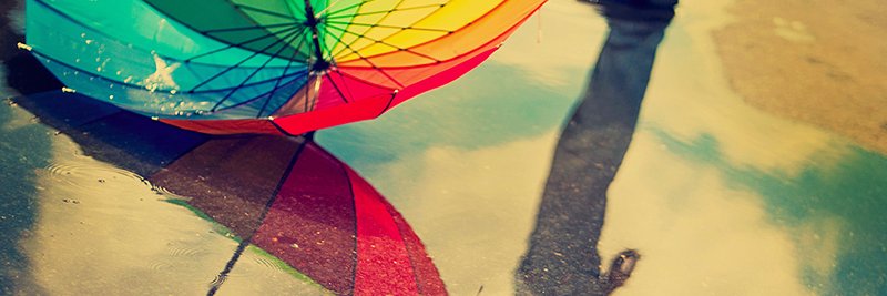 Nikki Sparks banner