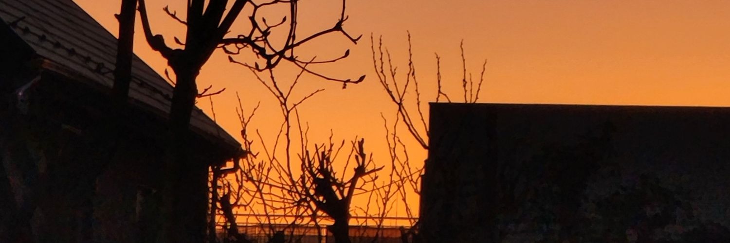 haiset99's profile banner image