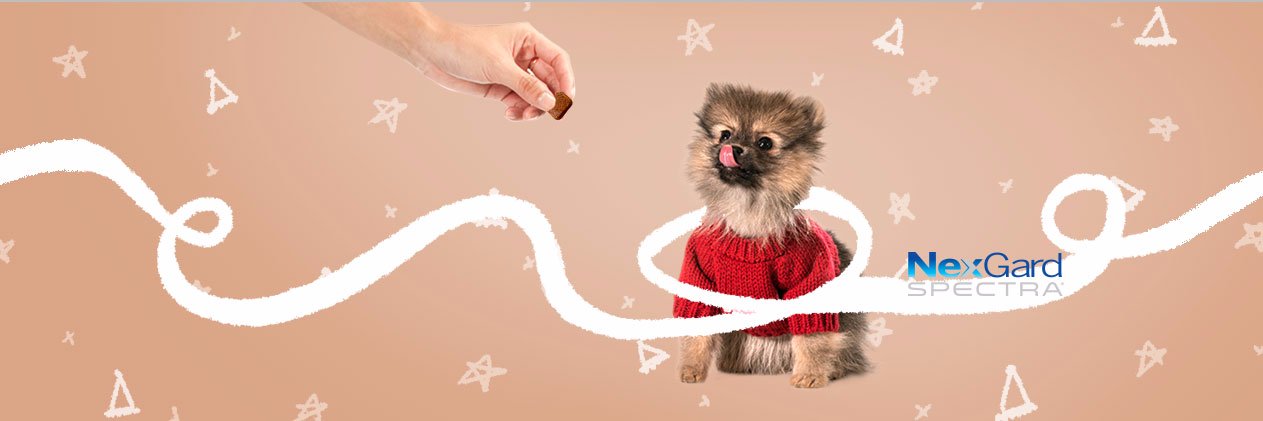 Mascota Protegida banner